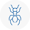 Ant Removals In Royton