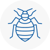 Bed Bug Extermination In Royton