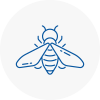 Bee Nest Removal Royton