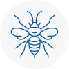 Royton Hornet Nest Removals
