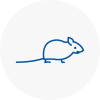 Mice Exterminators In Royton