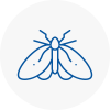 Moth Control Specialists In Royton