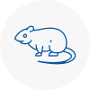 Rat Control Royton