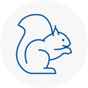 Royton Rodent Removals